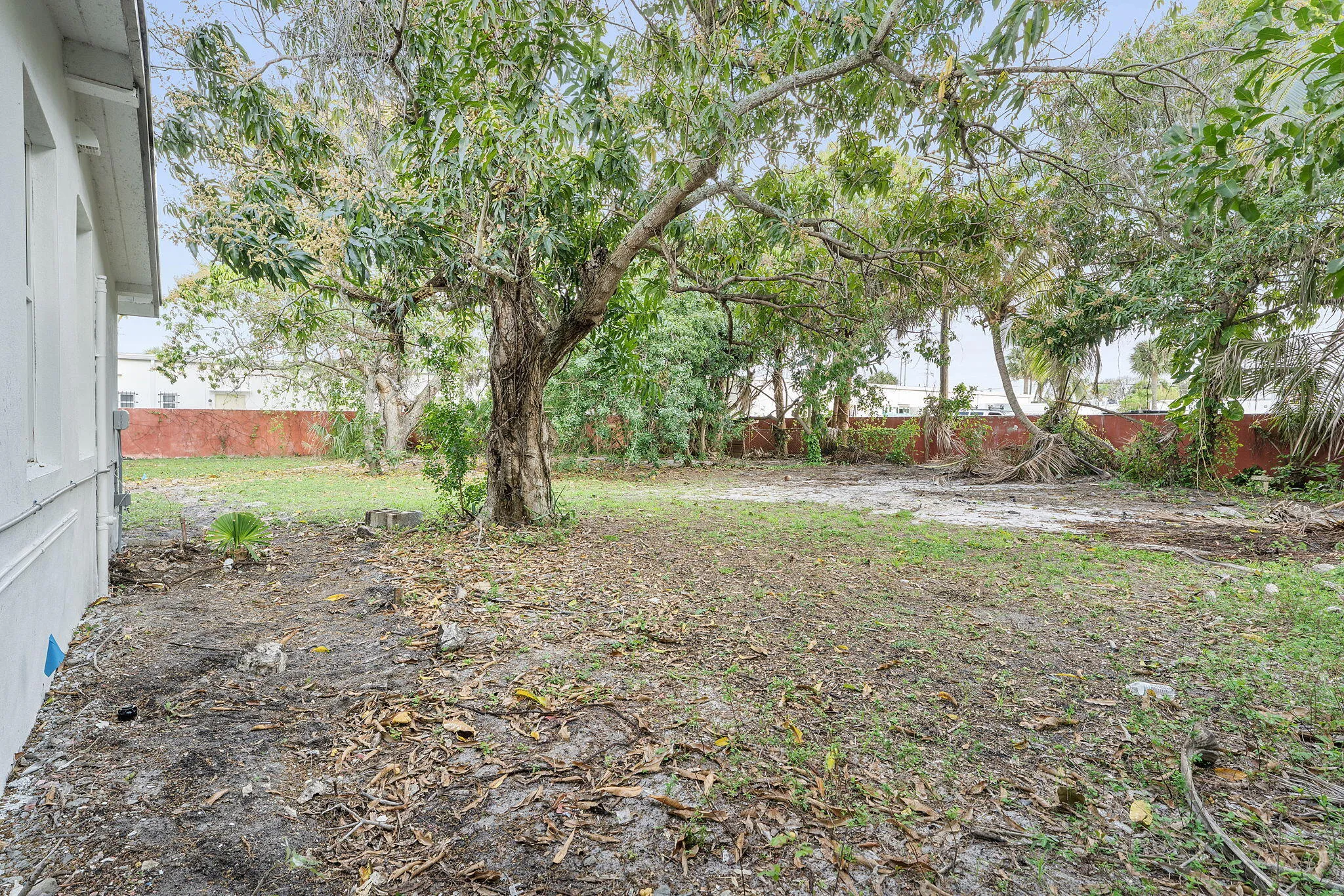 15-web-or-mls-DSC00667