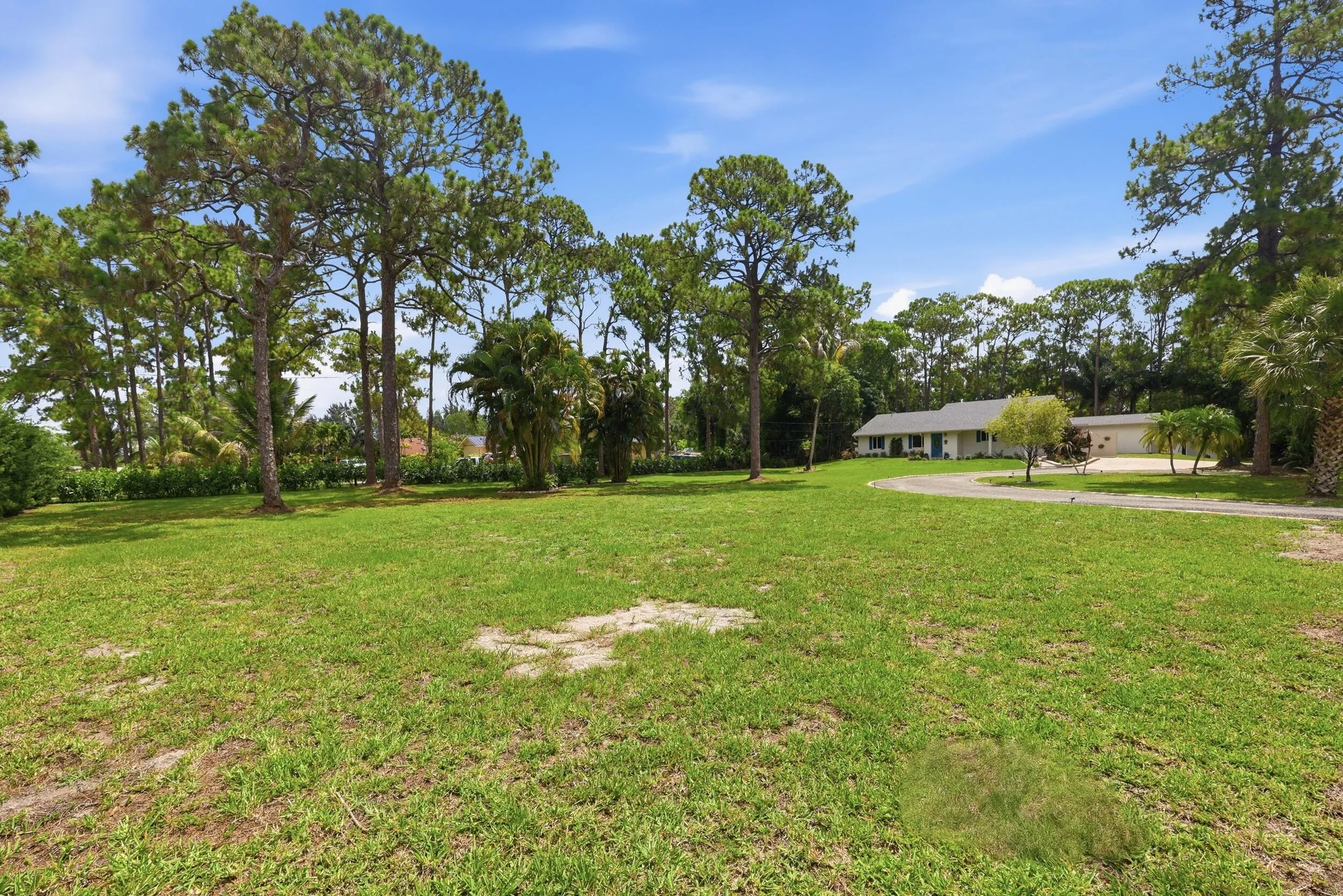 FRONT YARD