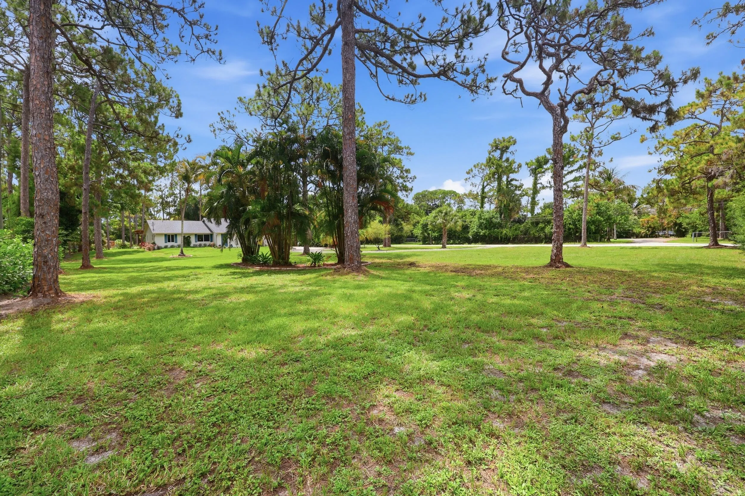FRONT YARD
