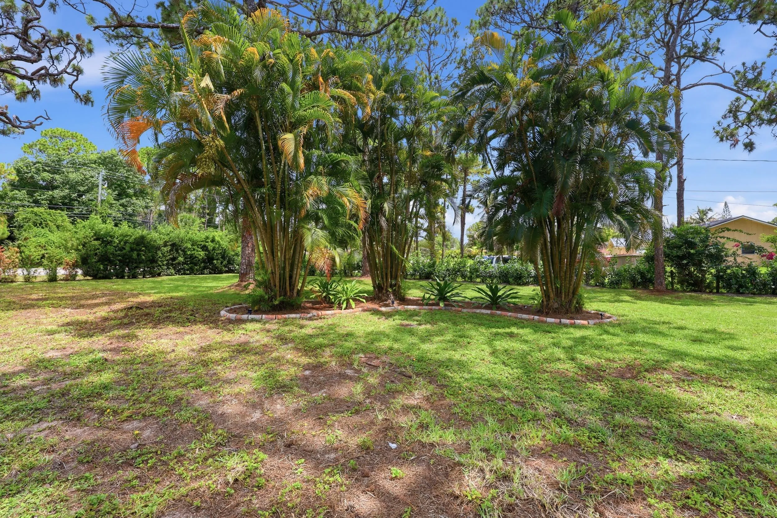 FRONT YARD