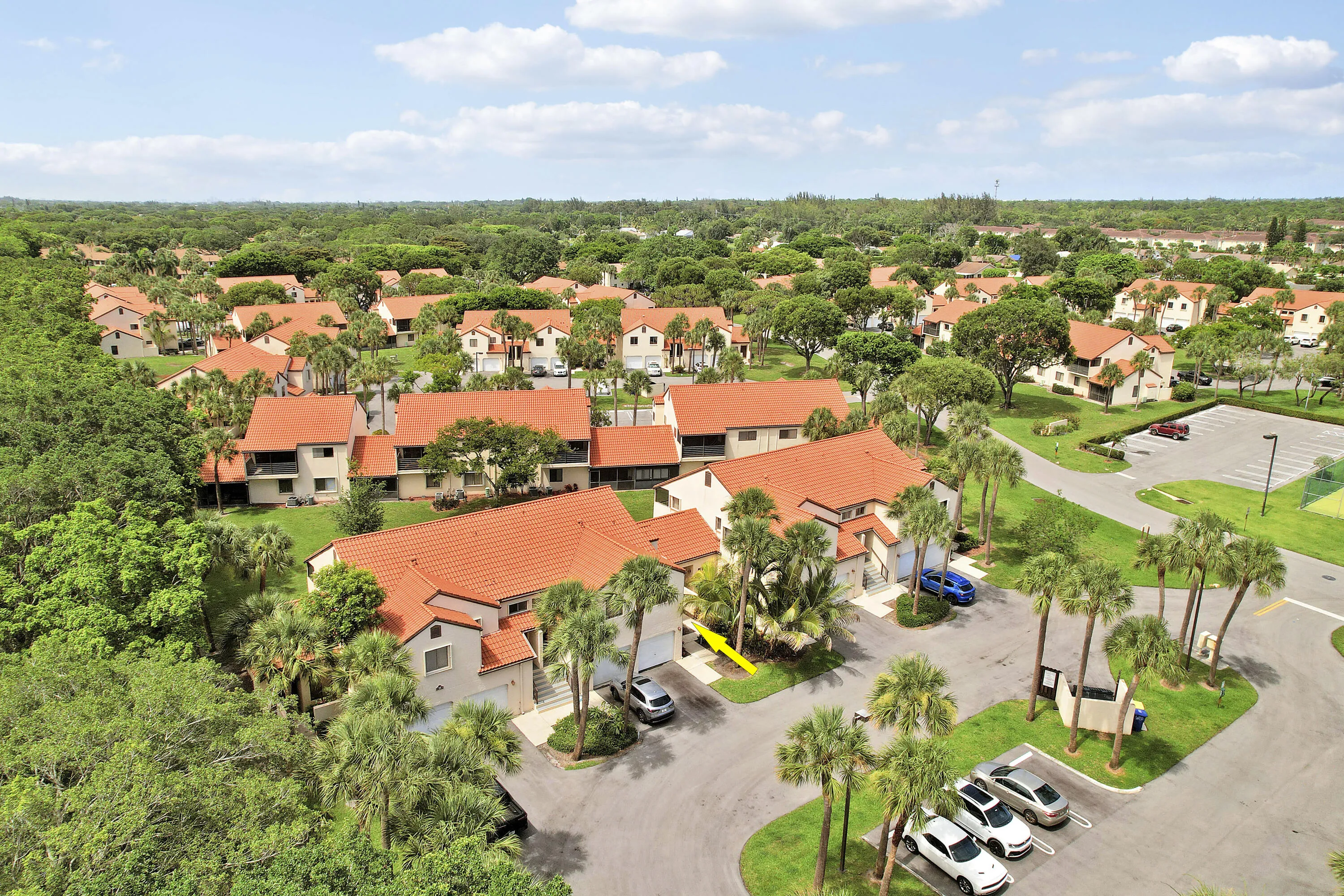 Aerials-4 copy