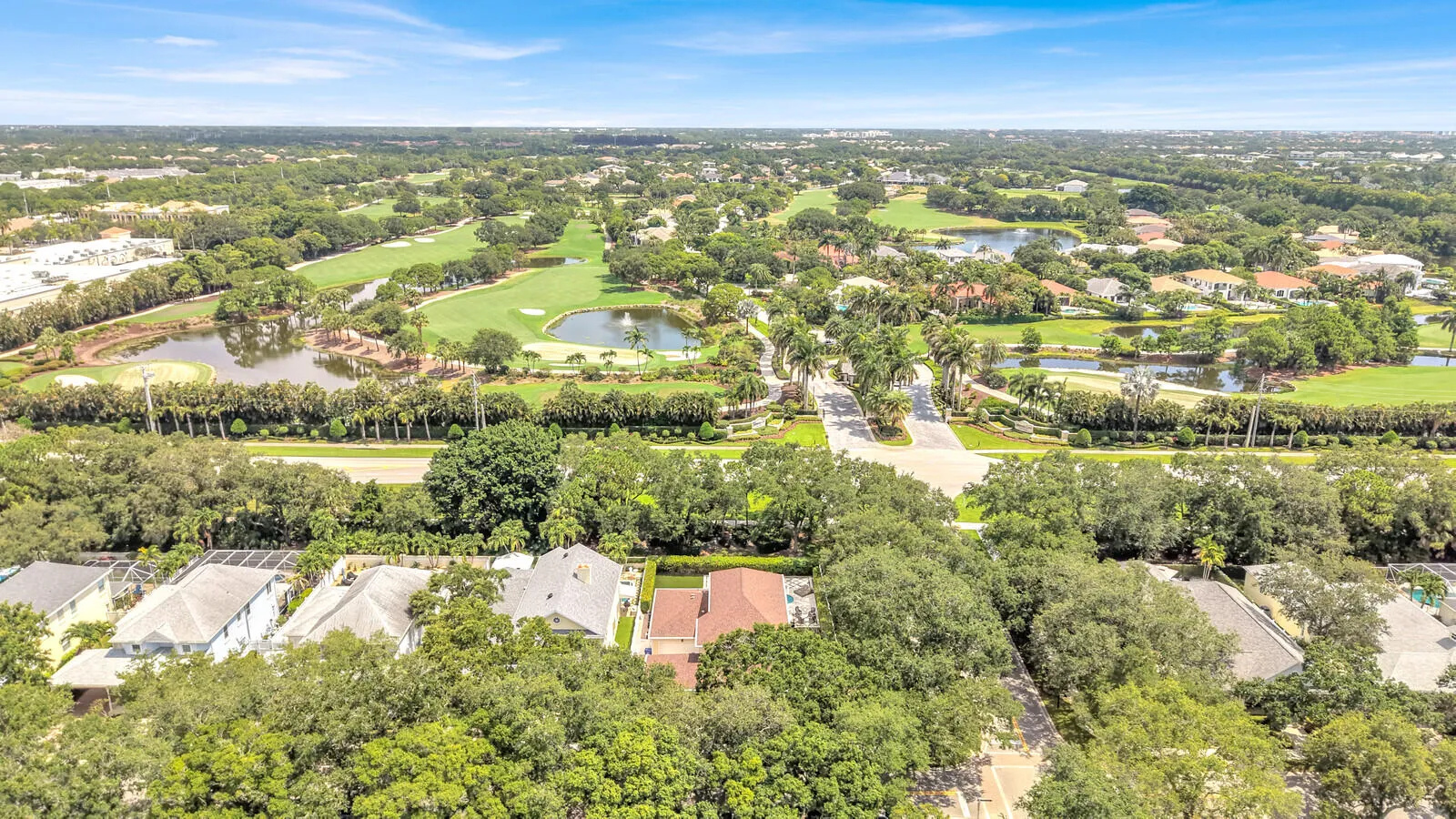 61_Aerial_14_mls