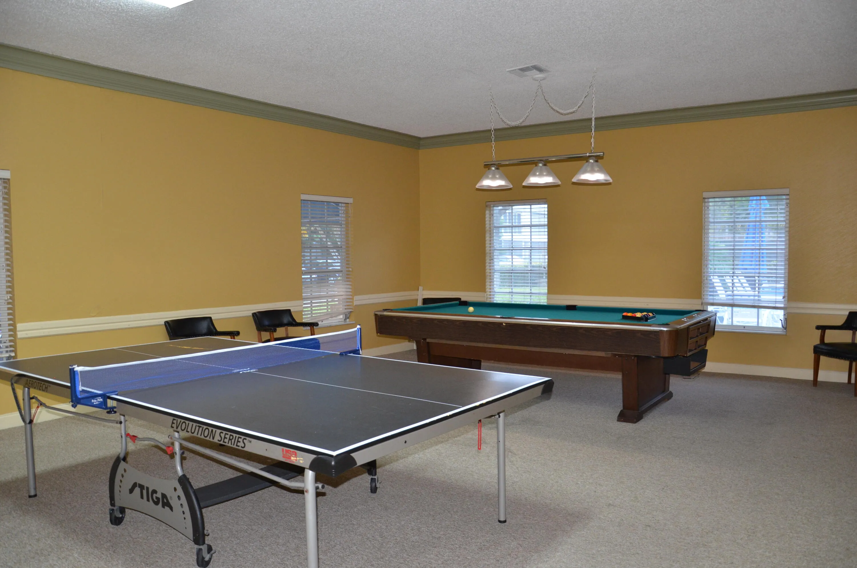 Community Billard & Ping Pong Game Room