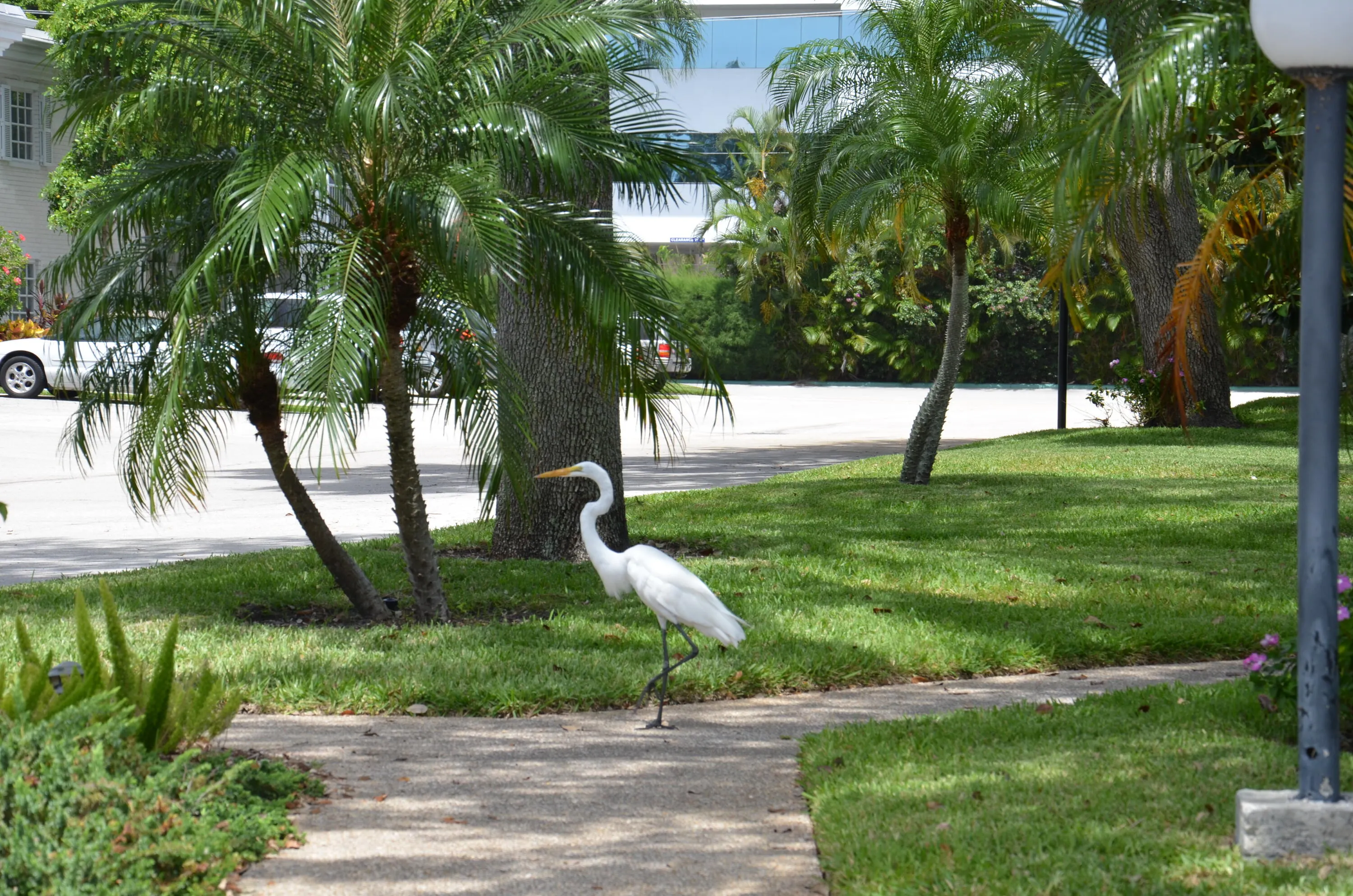 Quiet Serene Gated Community