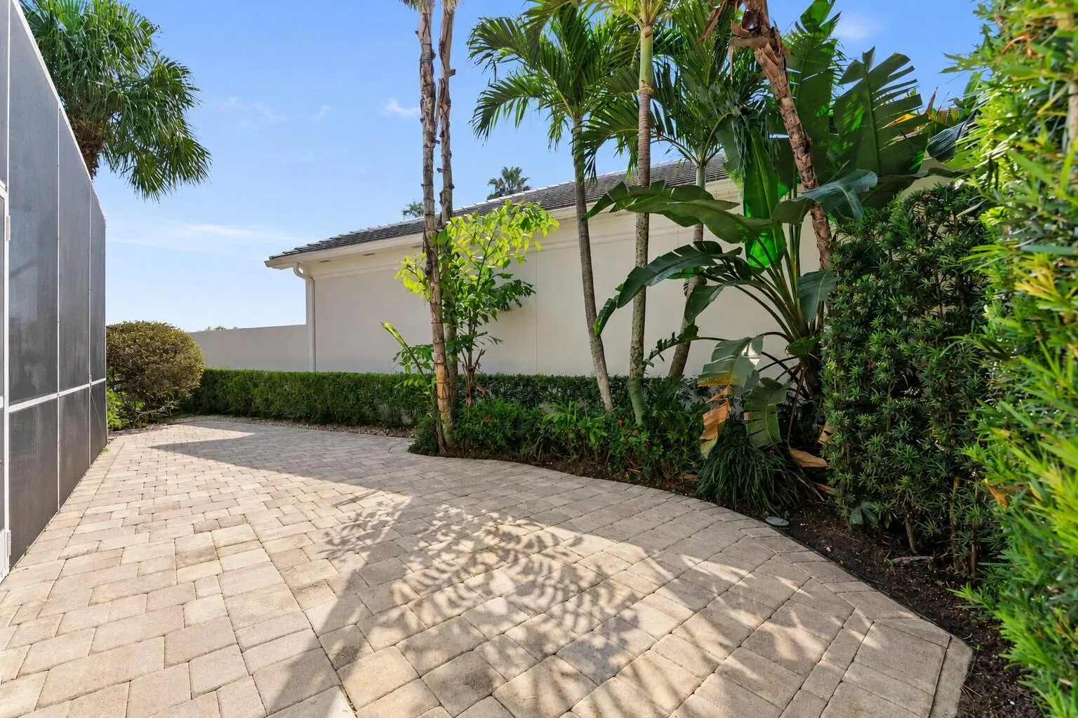 Open Backyard