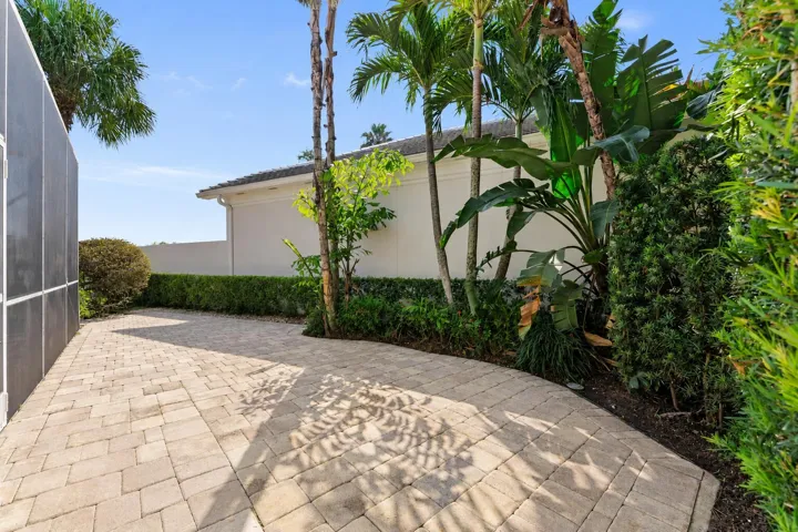 Open Backyard