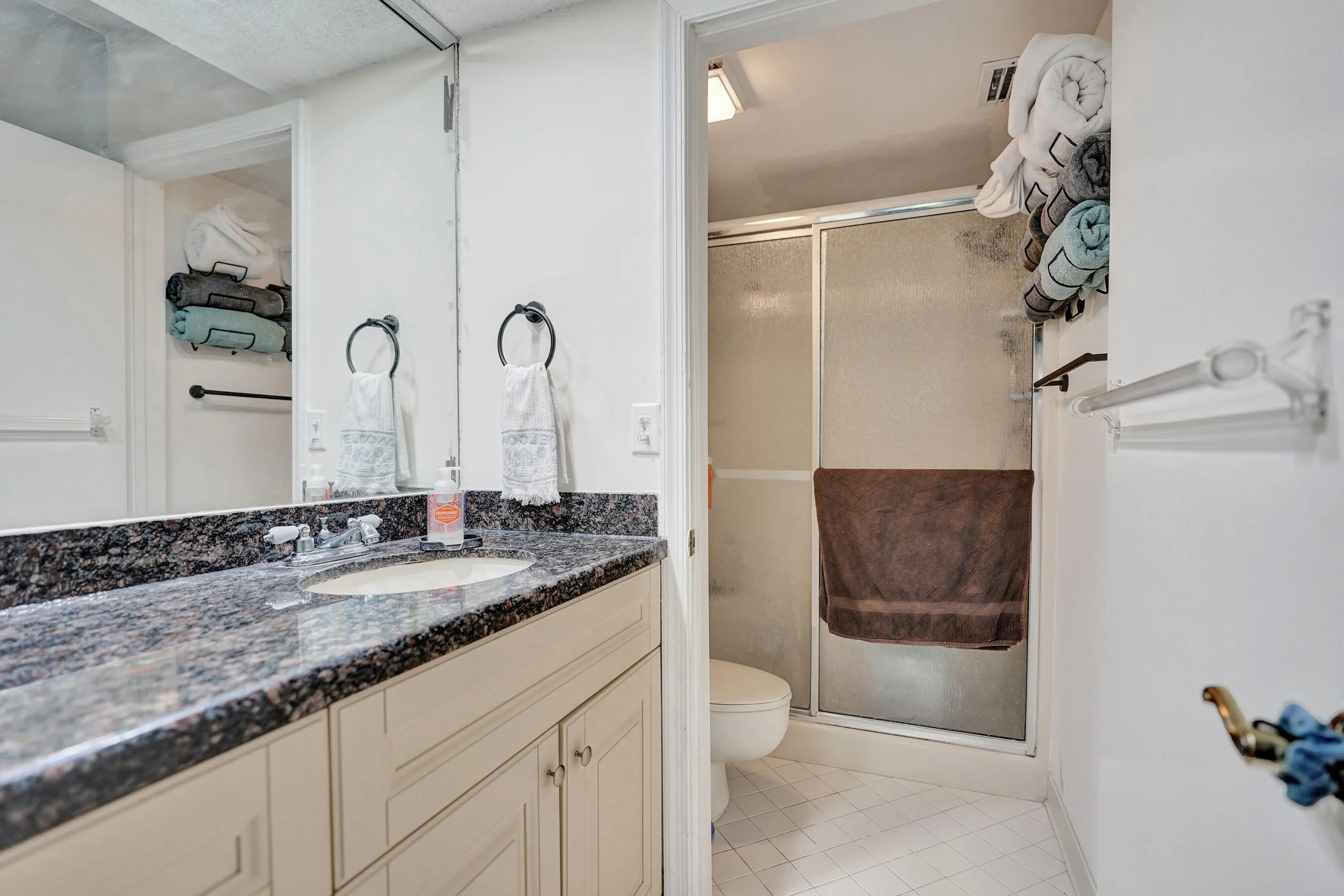 Main Bathroom walkin Shower
