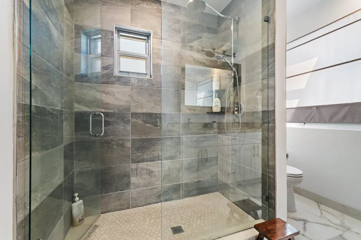 Primary Shower
