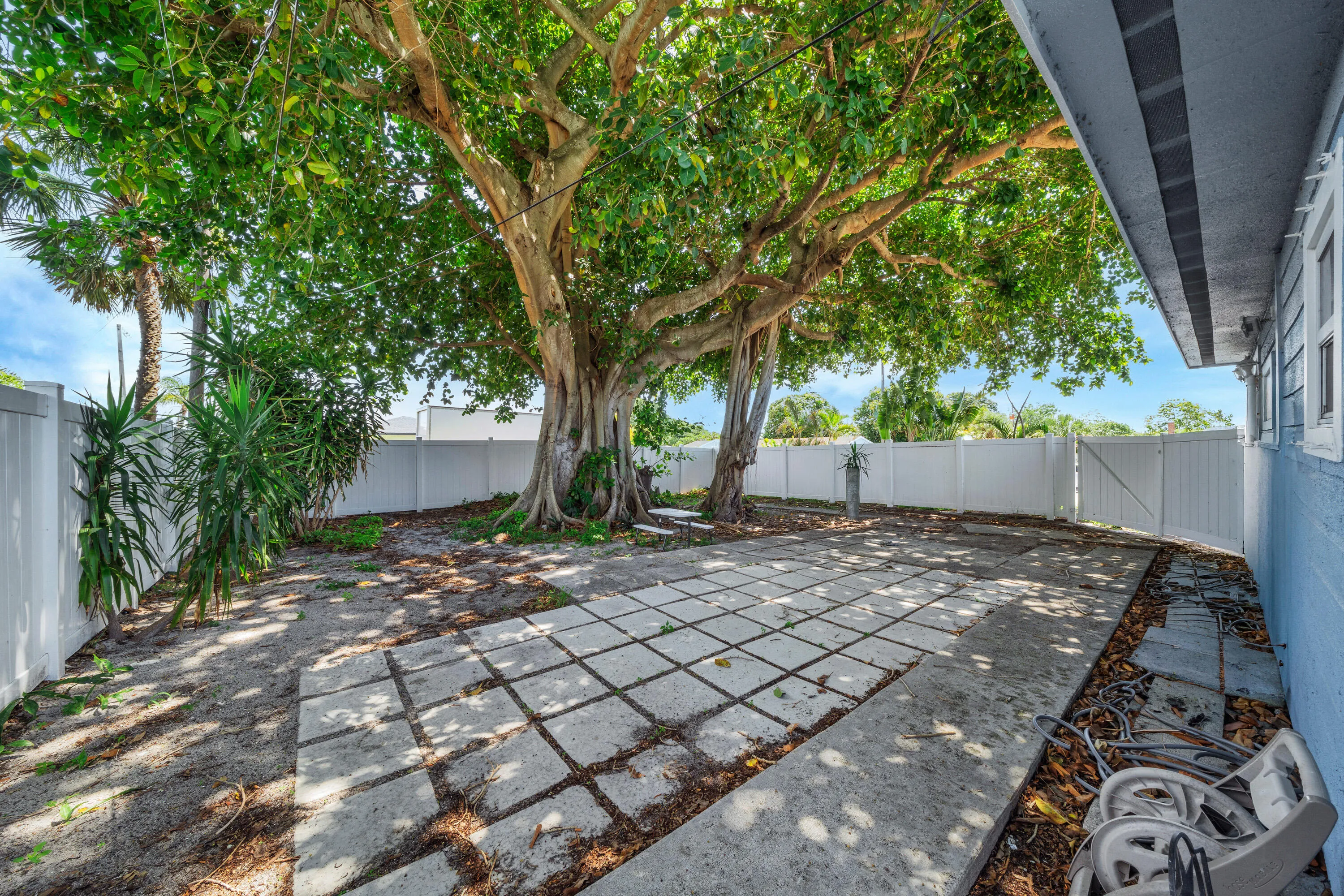 5 Backyard (3)