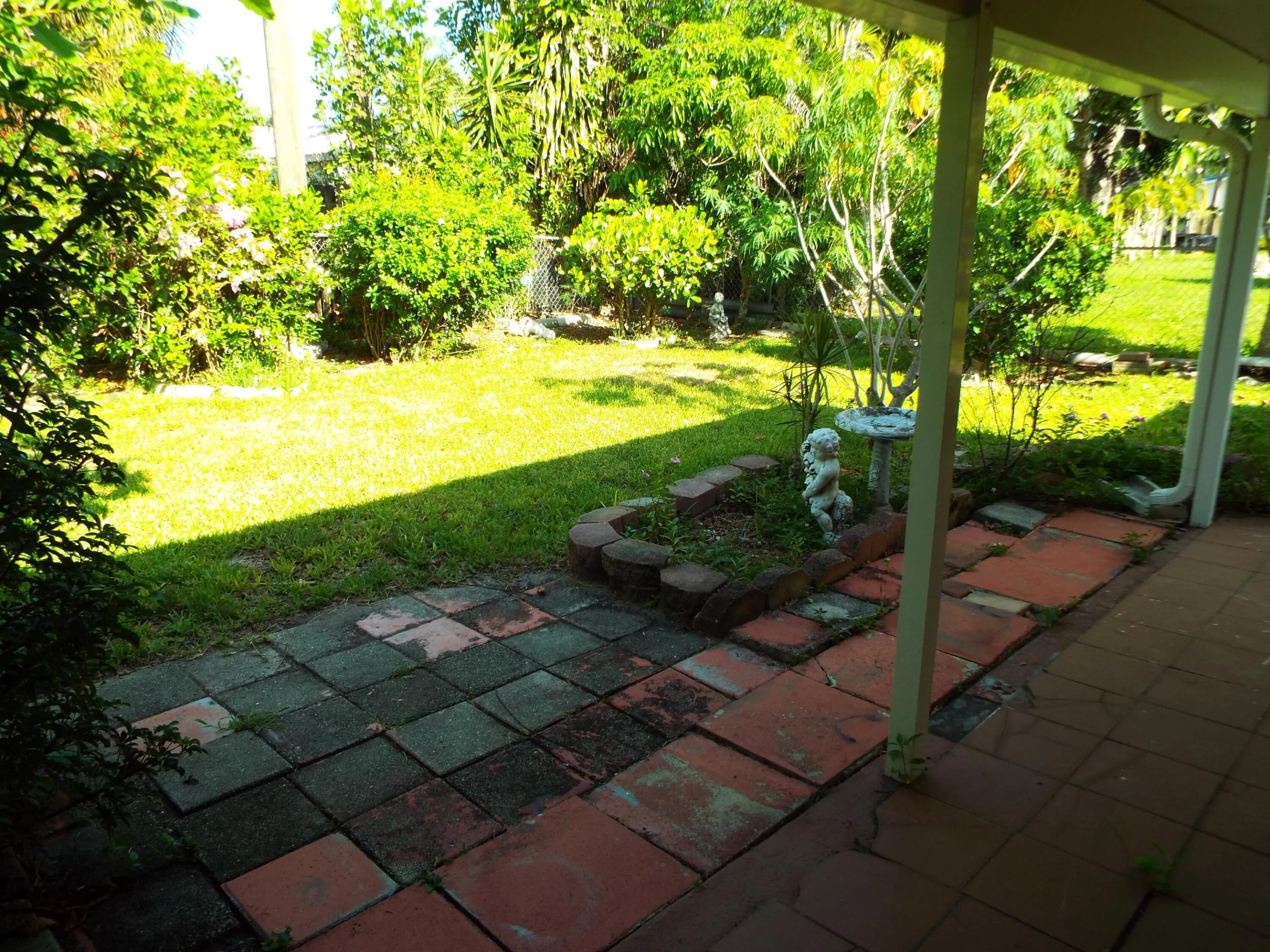 Back yard