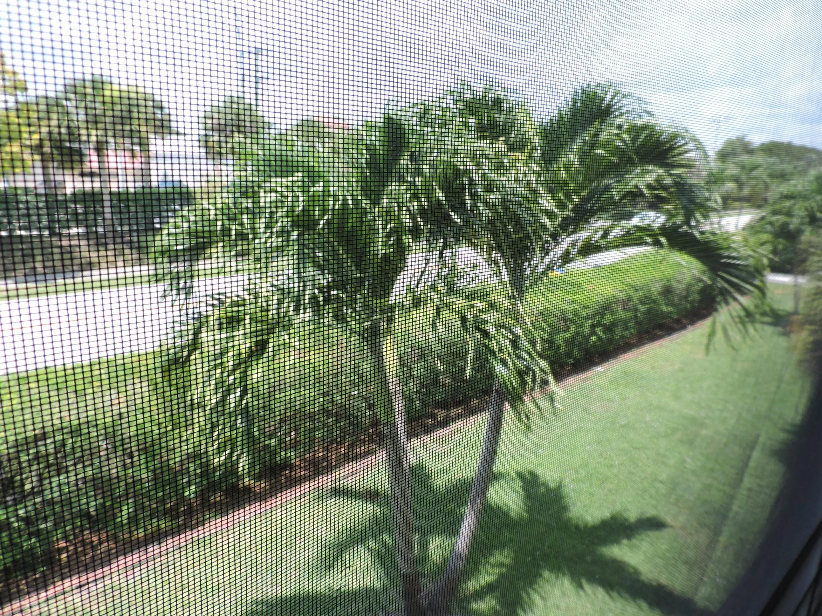 DSCN1371