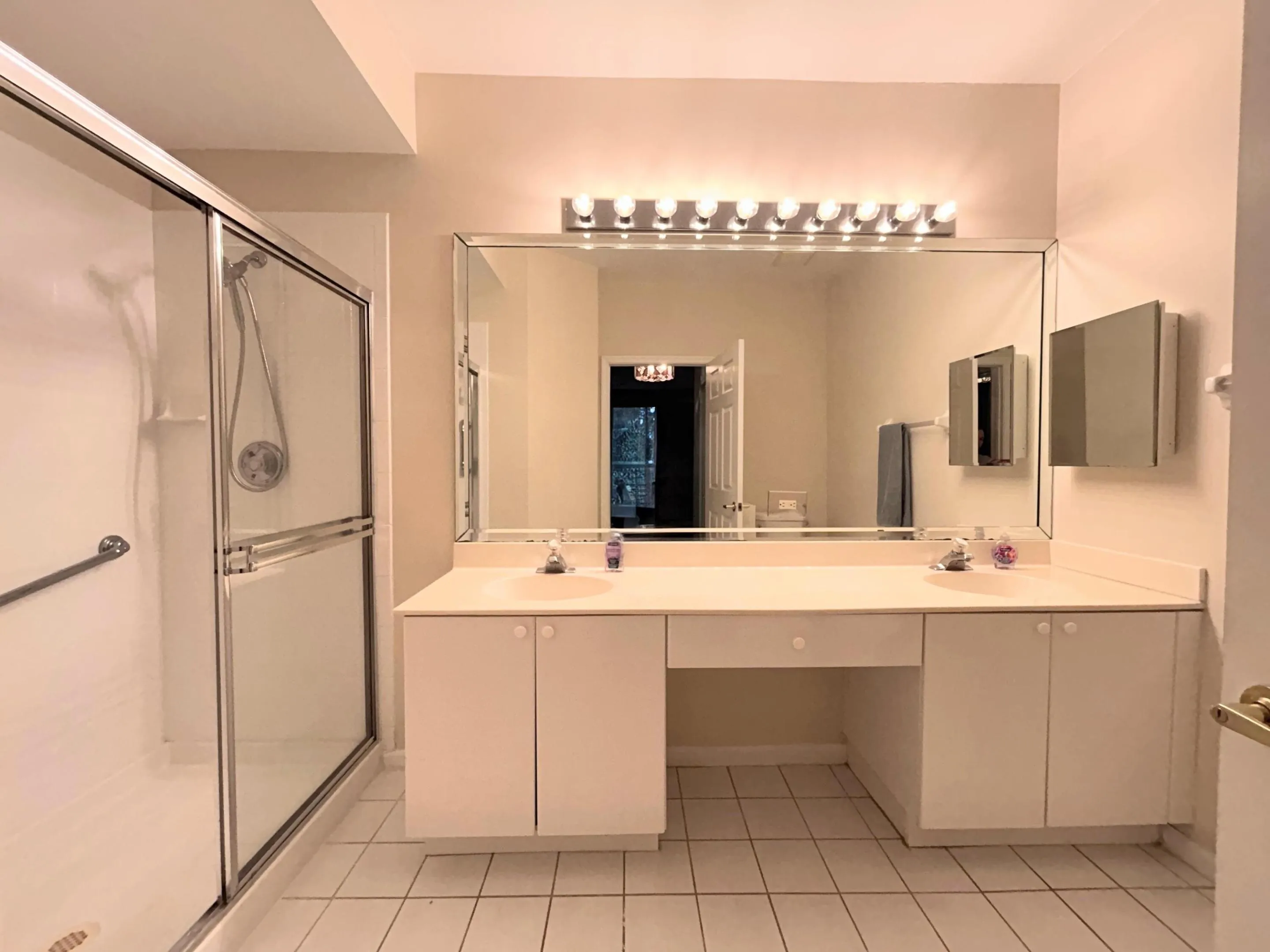 Master bath w/ walk-in shower