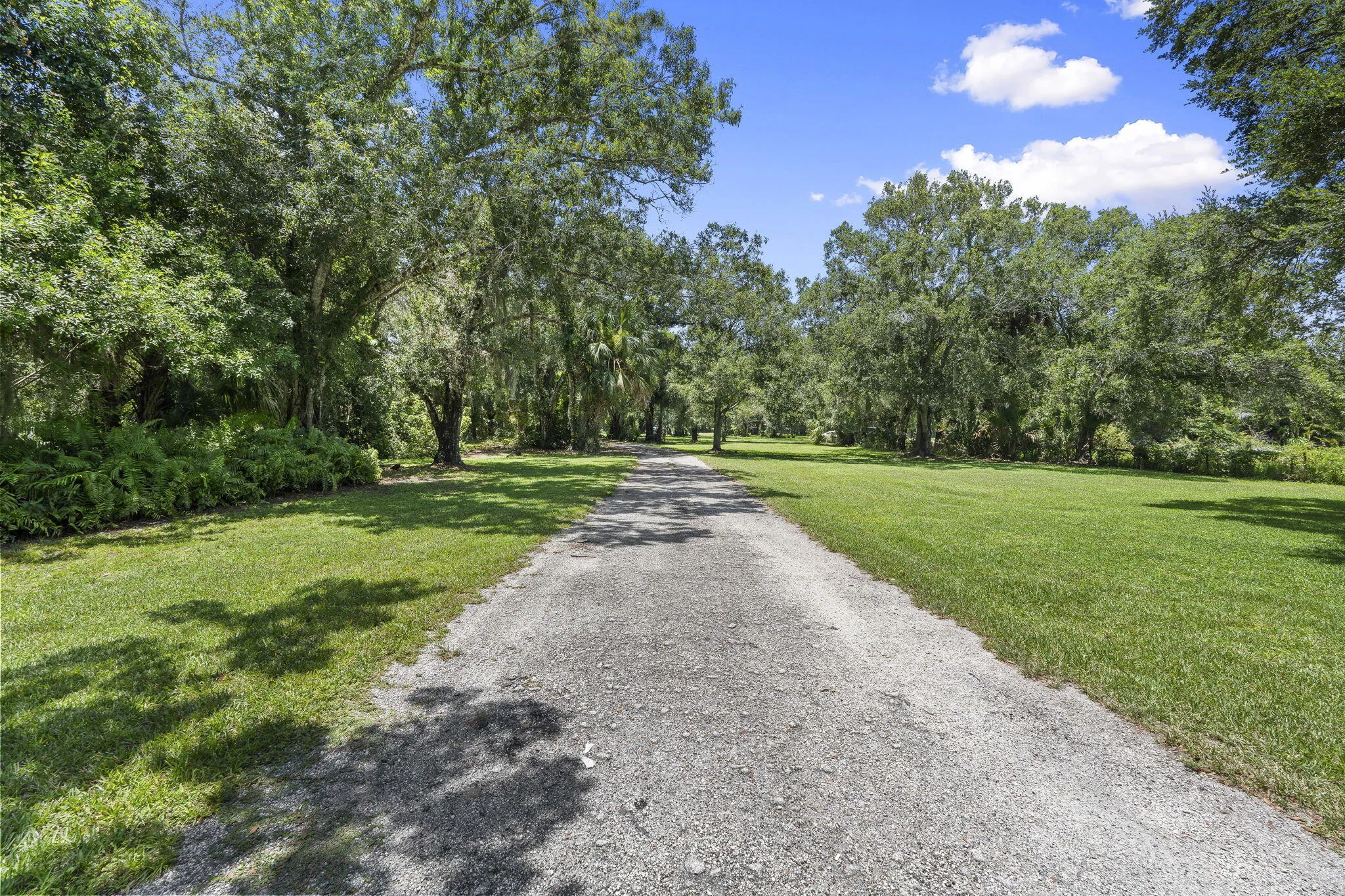 Property photo 59