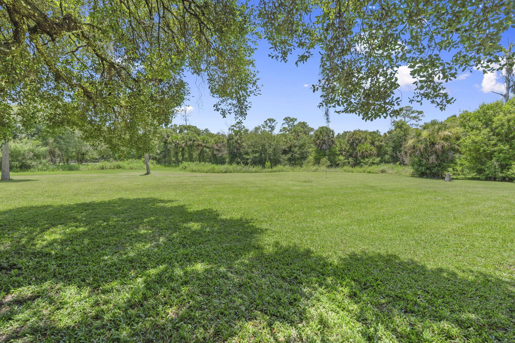 Property photo 51