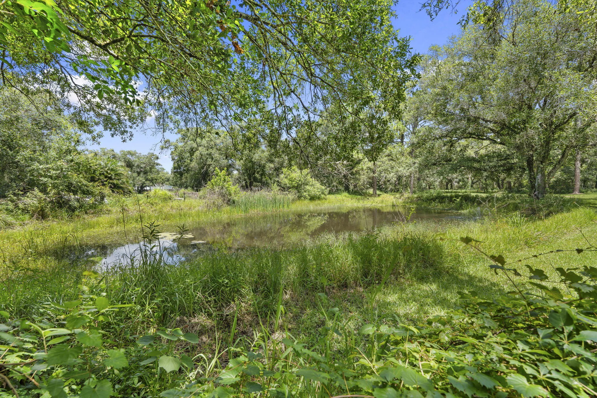 Property photo 61