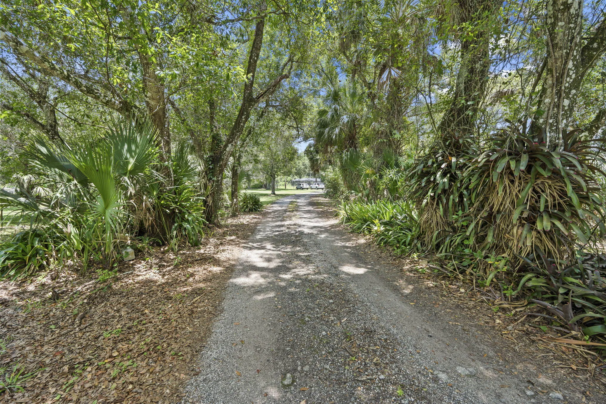 Property photo 62