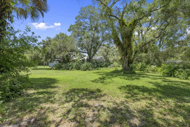 49-web-or-mls-DSC07322