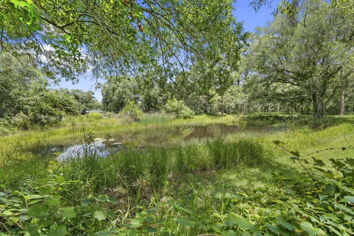 57-web-or-mls-DSC07414