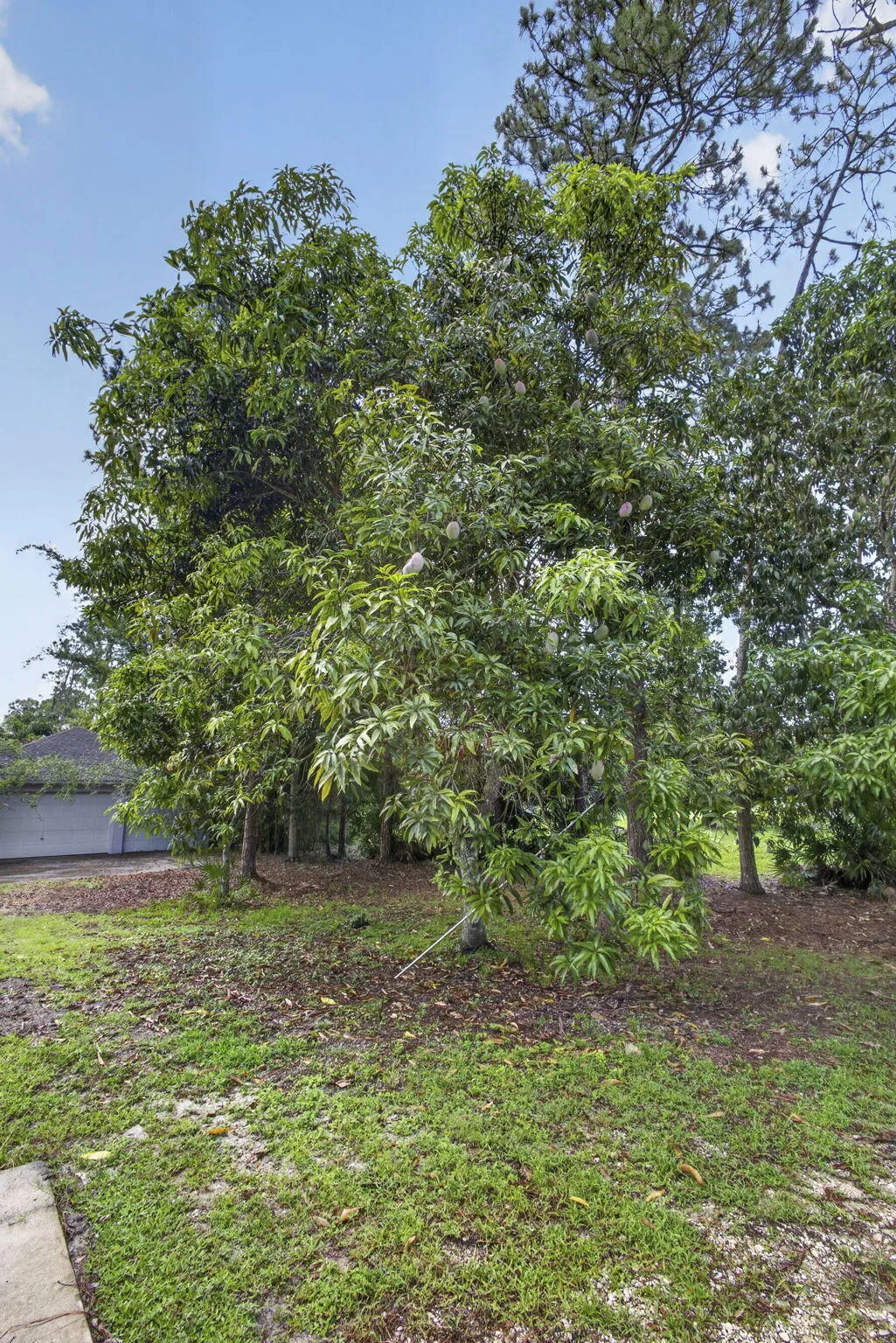 65-web-or-mls-BS1A0825