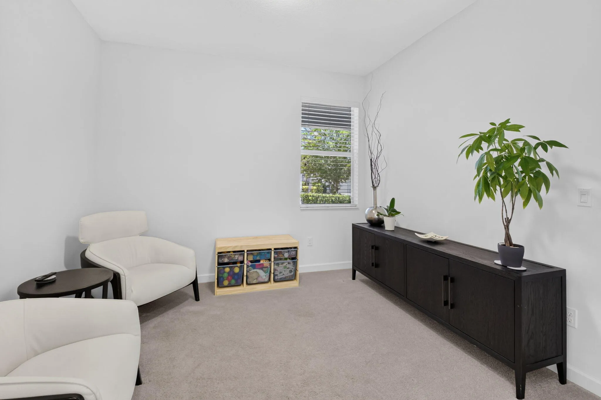 Bonus room/Office