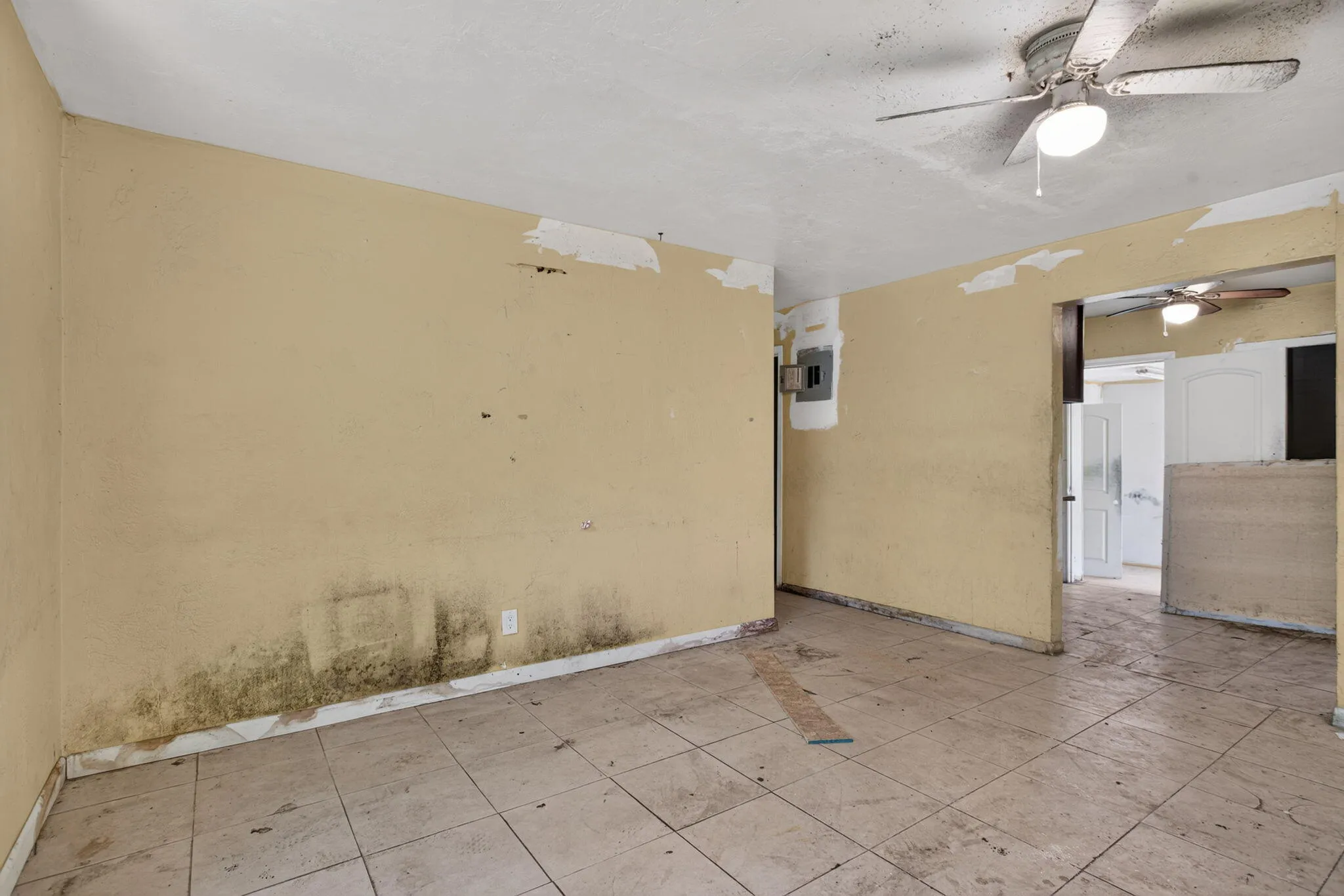 12-web-or-mls-511 -9695
