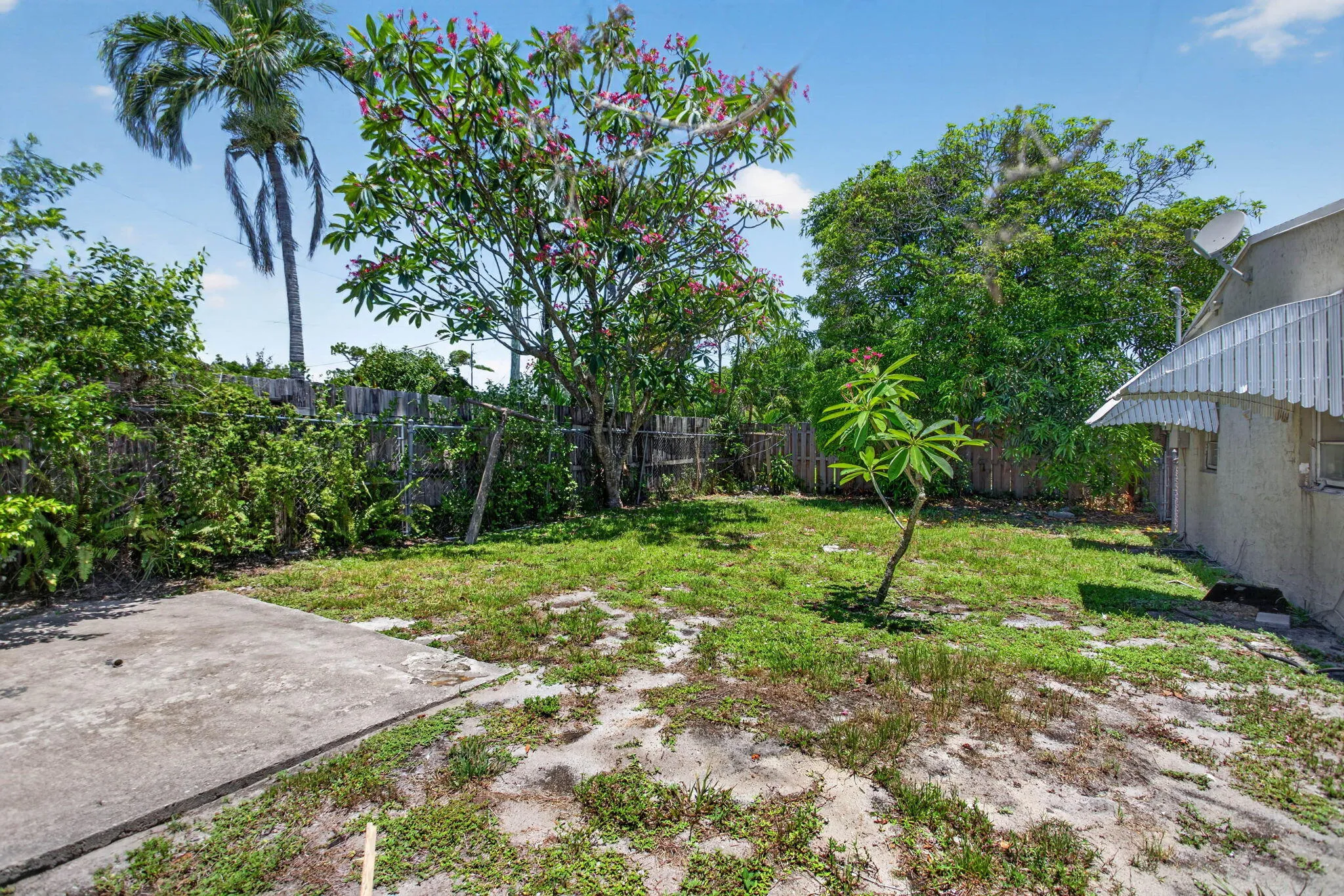 4-web-or-mls-511 -9656
