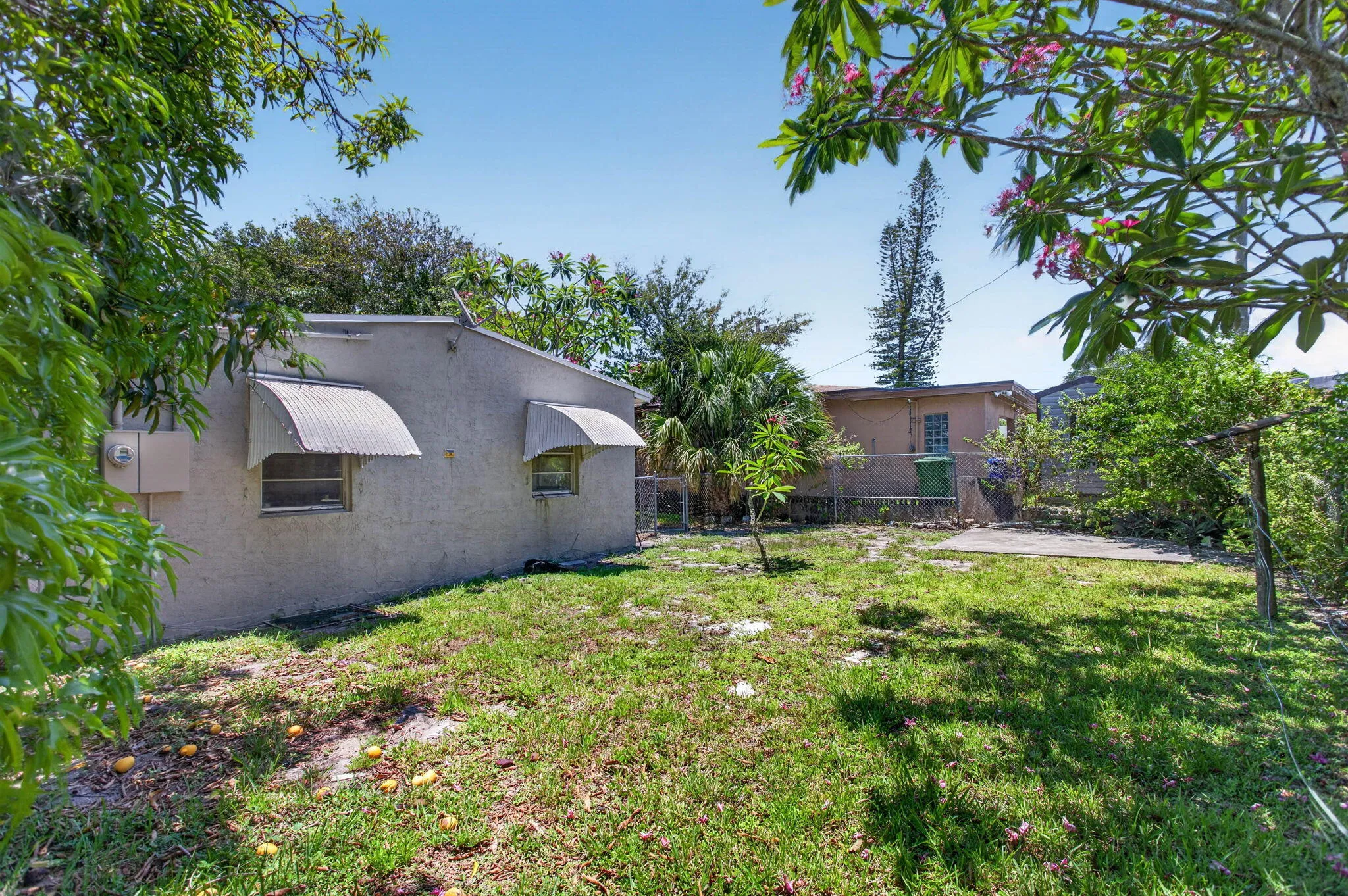 6-web-or-mls-511 -9665