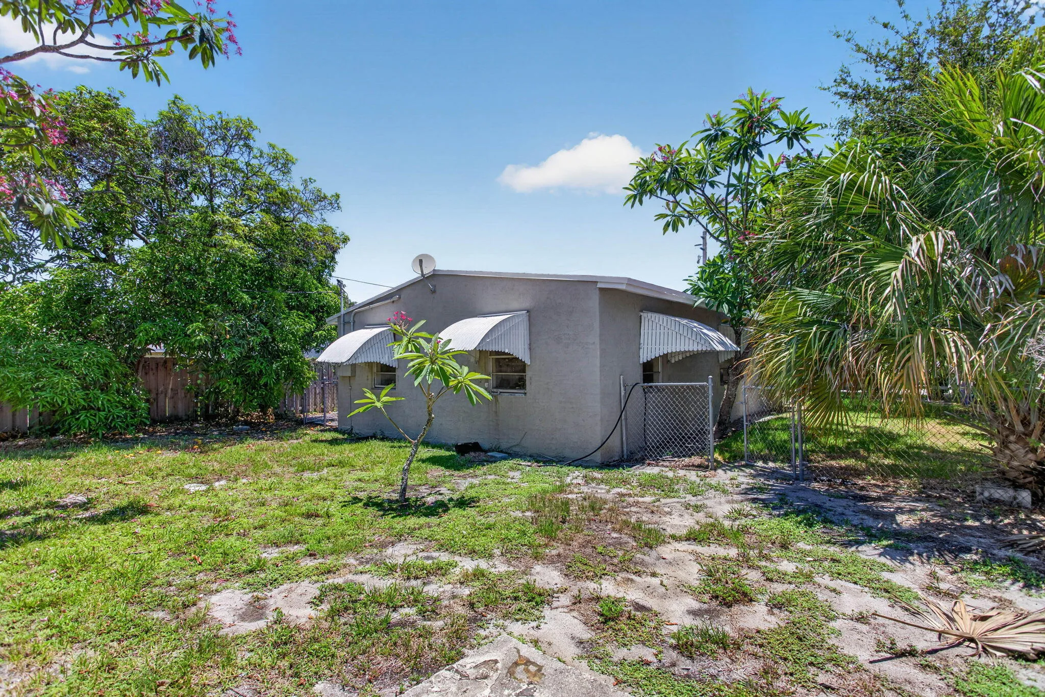 5-web-or-mls-511 -9660