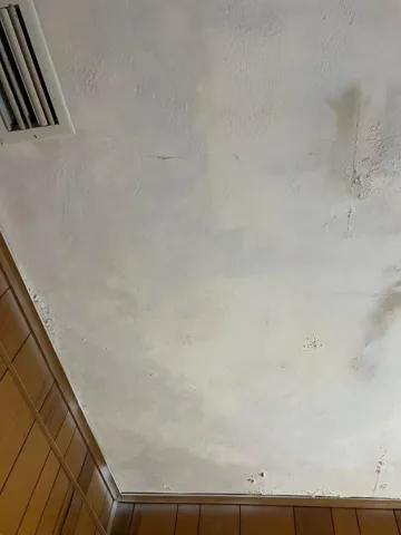 pic 13