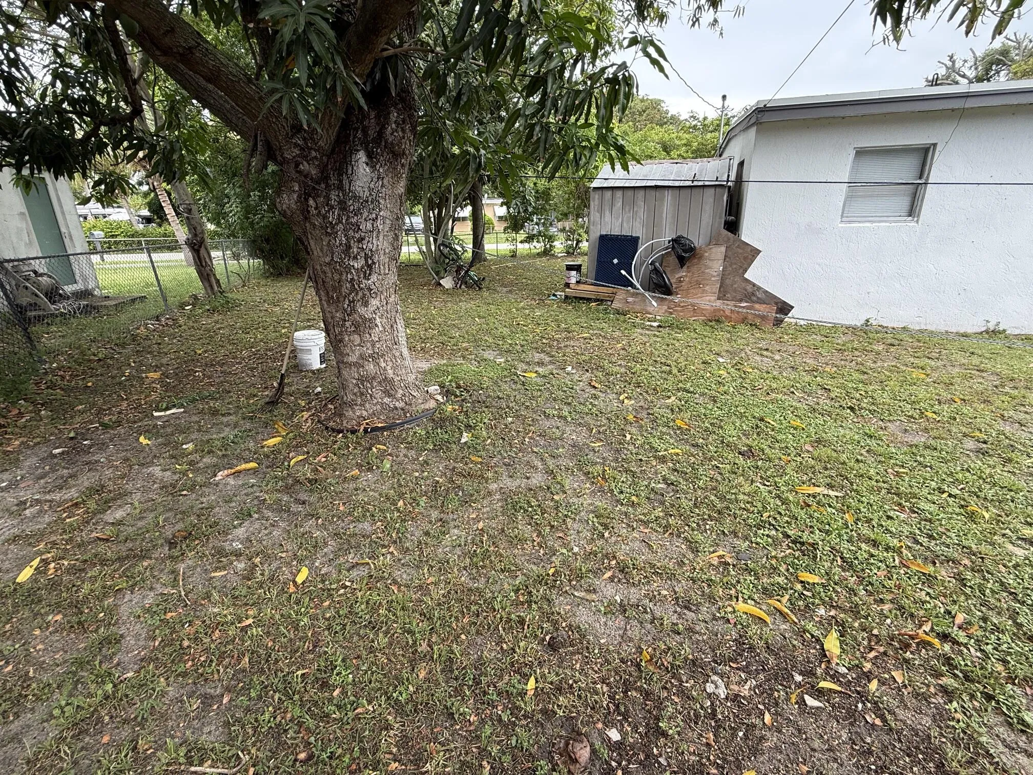 Back Yard