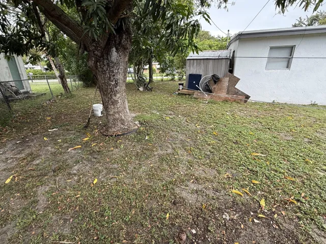 Back Yard
