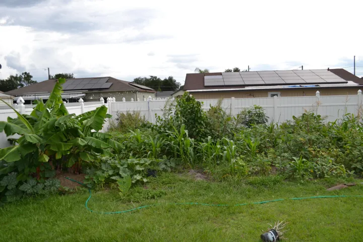 Picture 13- garden 2