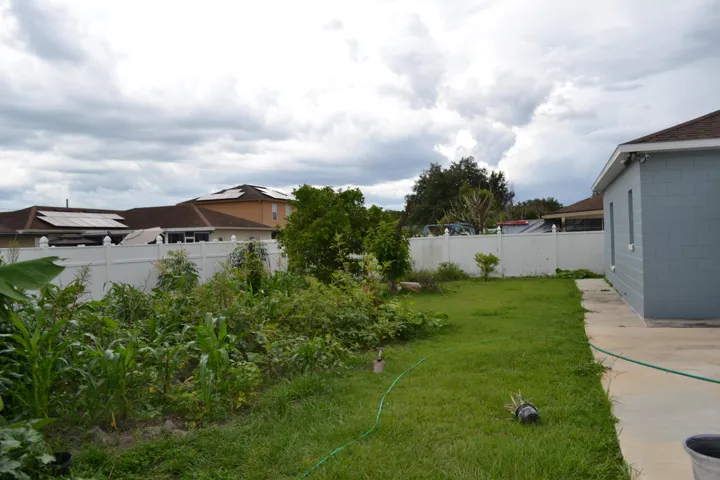 Picture 10- back yard