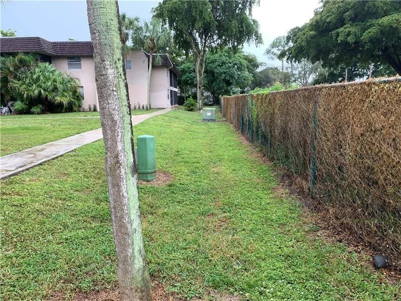 Back Yard Area