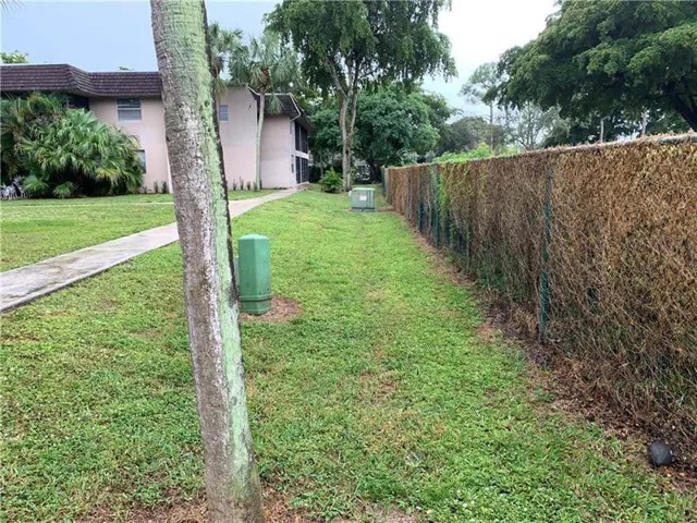 Back Yard Area