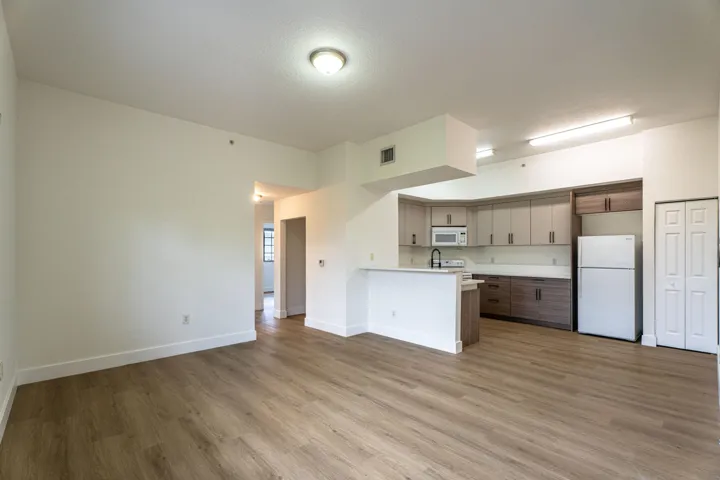 kitchen and living room view