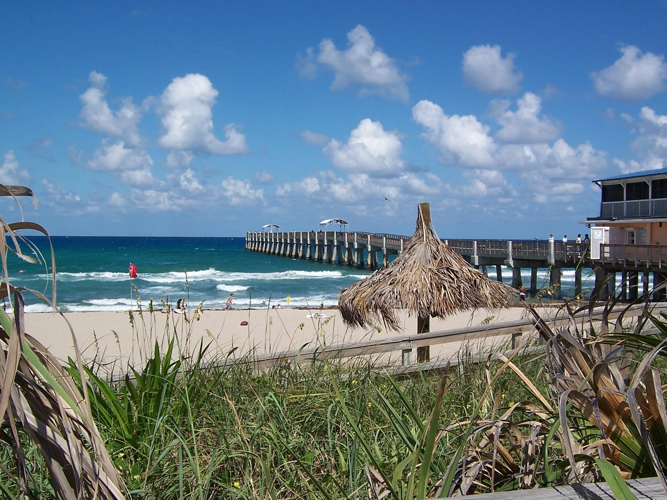 PARADISE CALLING! Lake Worth Beach and P