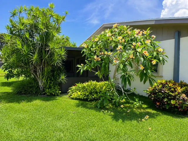 6401 side view with flowering plants