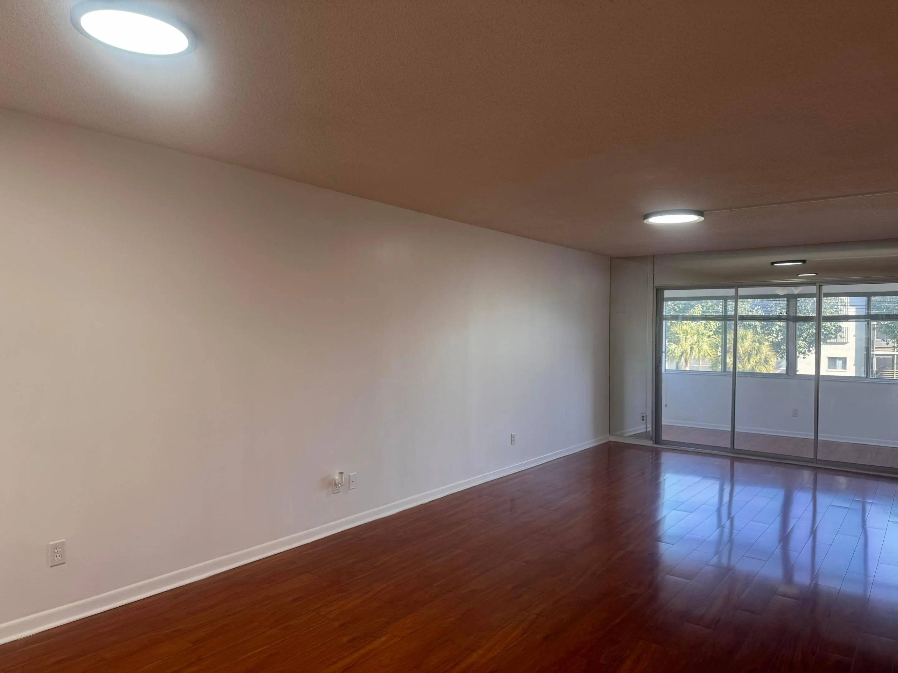 Dining -Living Area