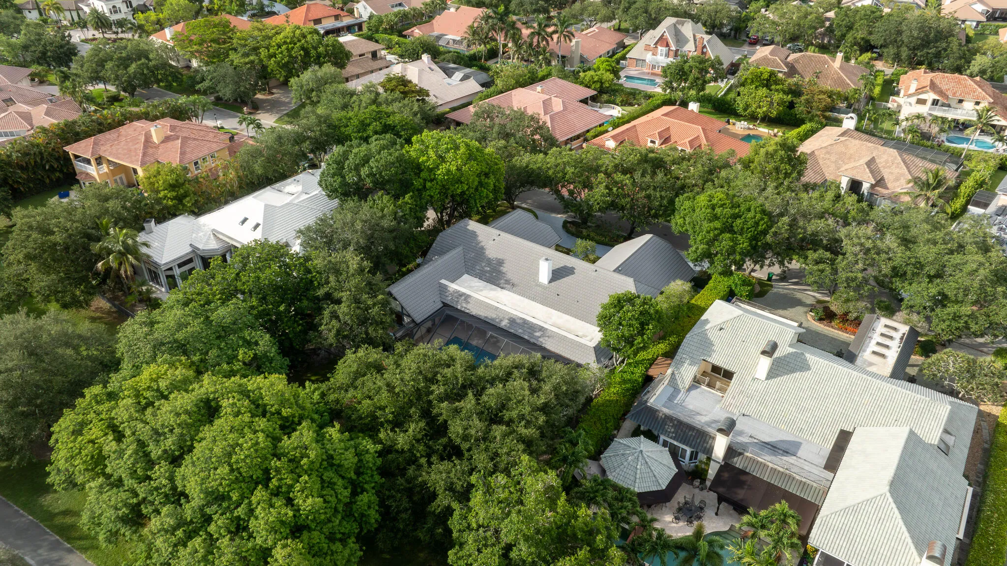 DJI_0984
