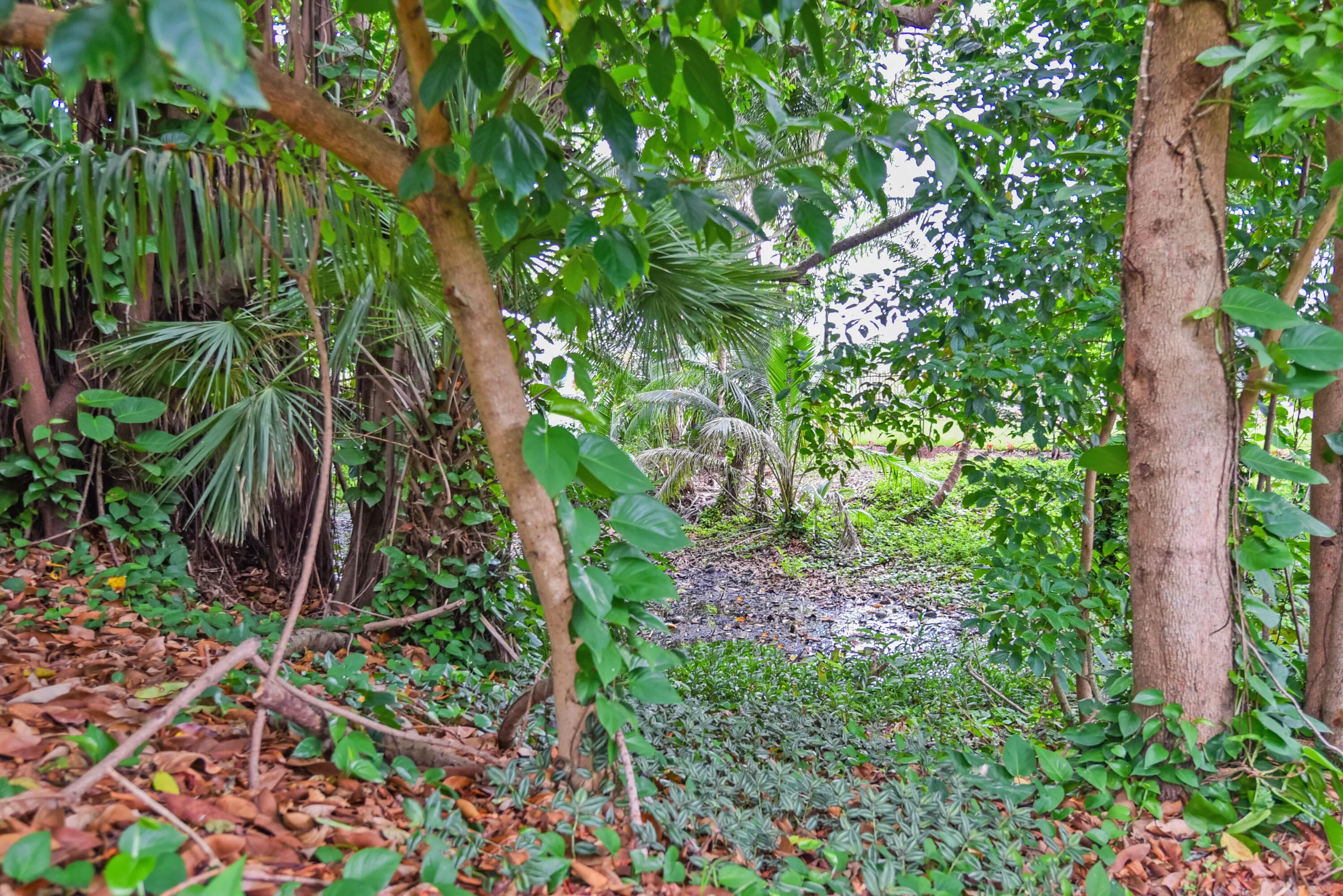 91 SW 11th Ave_Lois Ronan_5