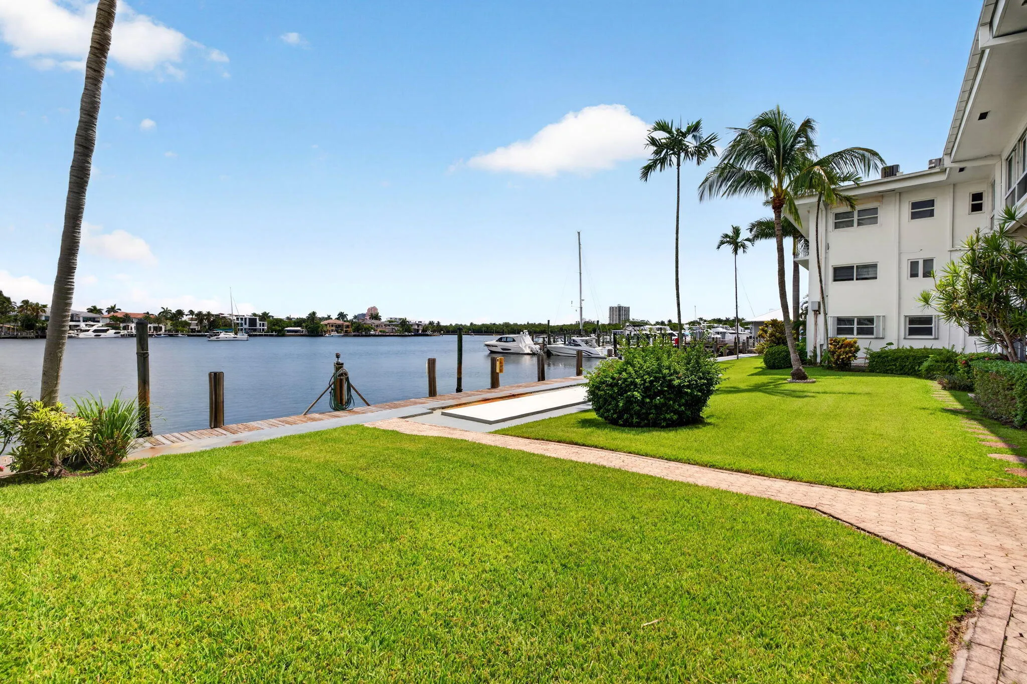 50-web-or-mls-699A3230