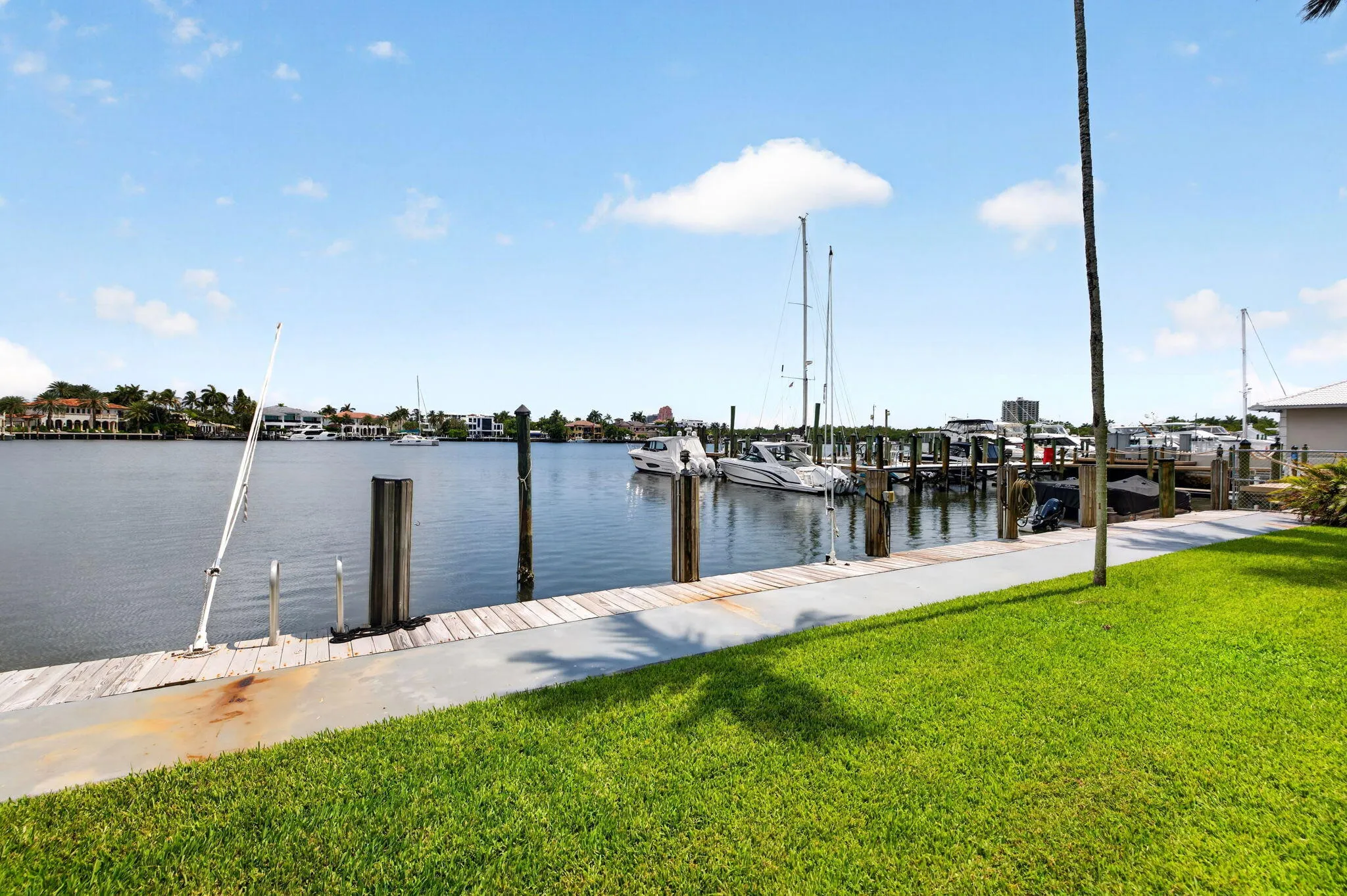 41-web-or-mls-699A3258