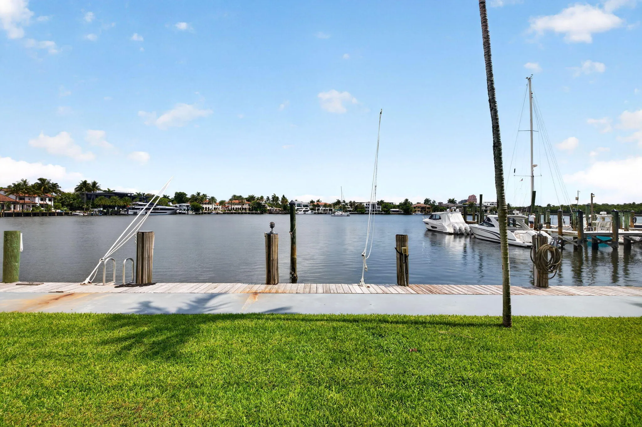 42-web-or-mls-699A3247