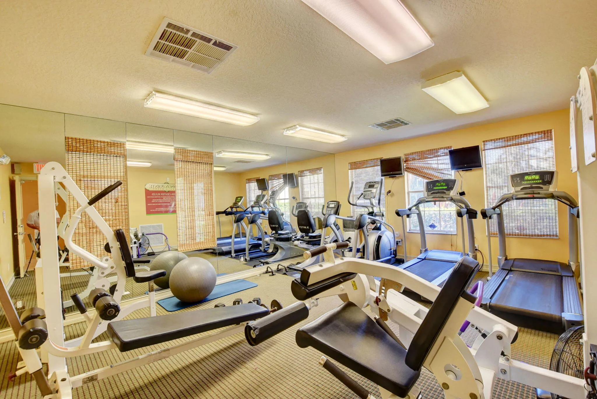 fitness