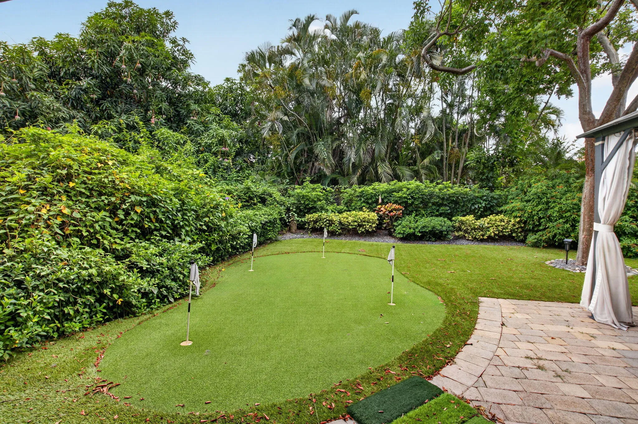 Backyard