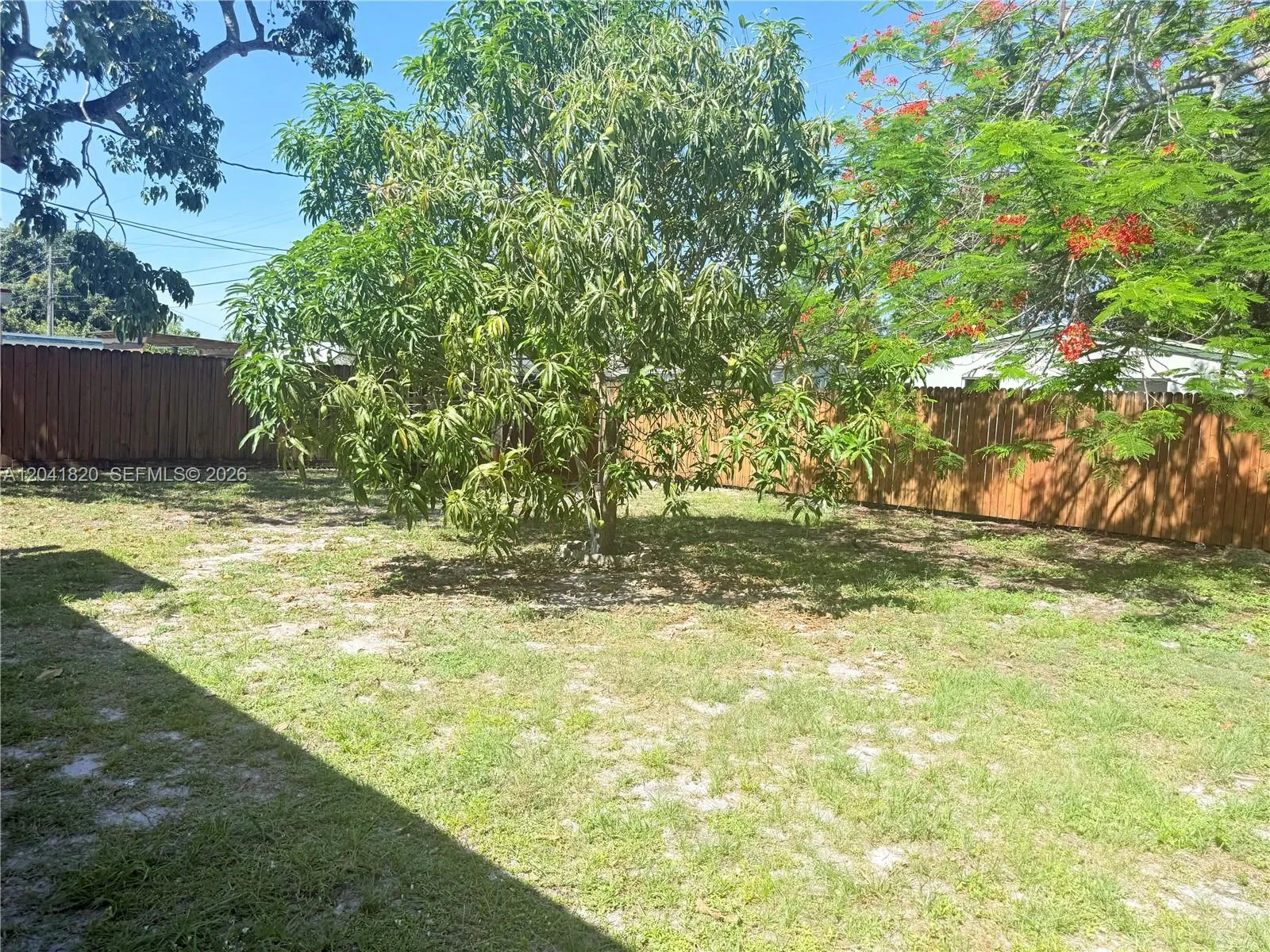 Photo 26