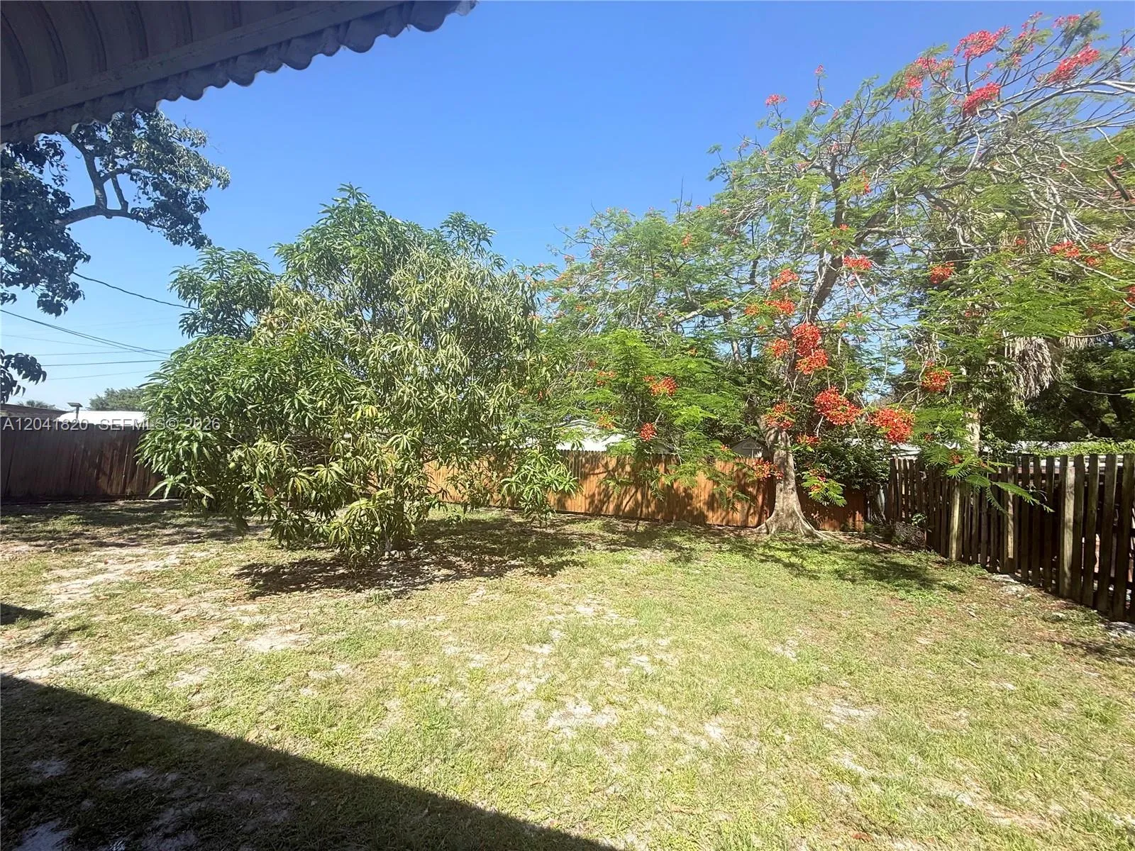 Photo 25