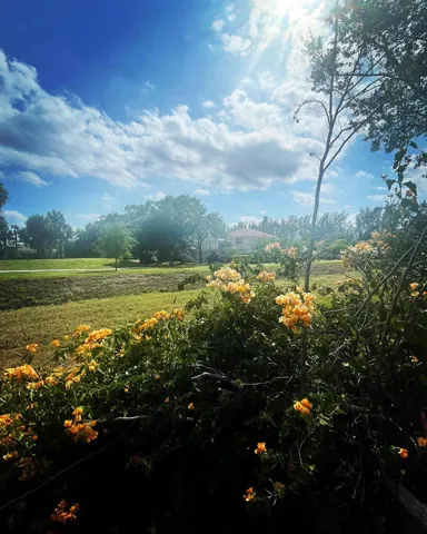 Backyard 2