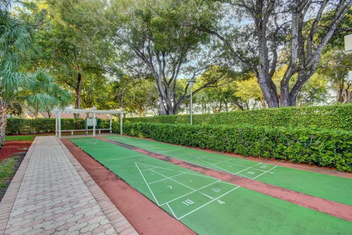 Shuffleboard